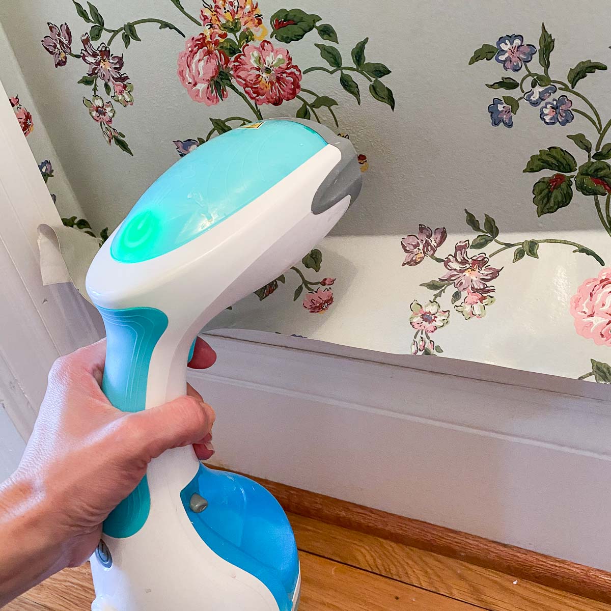 Wallpaper removal with steamer Seattle